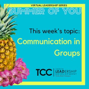 A pineapple, the TCC logo, and the text "Summer of you: Coomunication in groups"