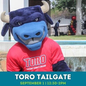 Toro Tailgate