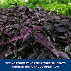 Northwest Horticulture Students - News