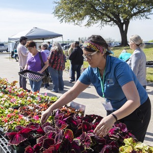 Plant Sale