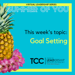 An image of a pineapple, with the text "Summer of You: Goal Setting"