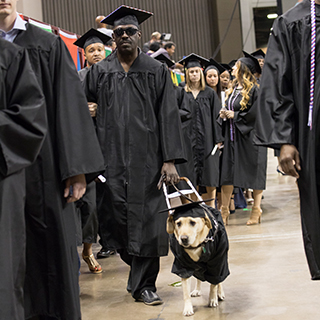 Quentin Johnson is graduation regalia, walking with his dog